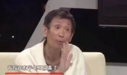 娱乐圈补课吃瓜,揭秘明星背后的努力与争议